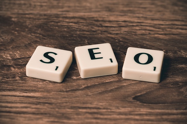 1761568340448370.jpg seo-758264_640.jpg